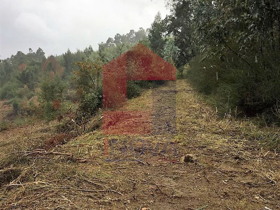 Helårsgrund i Vila Verde, Braga - foto 3