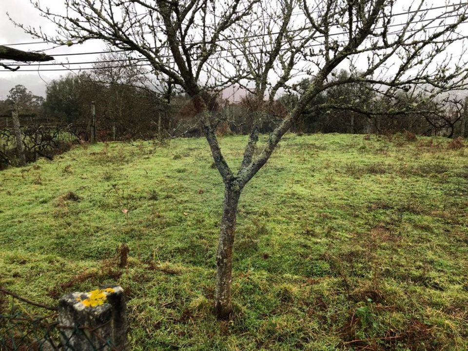 Helårsgrund i Amares, Braga - foto 5