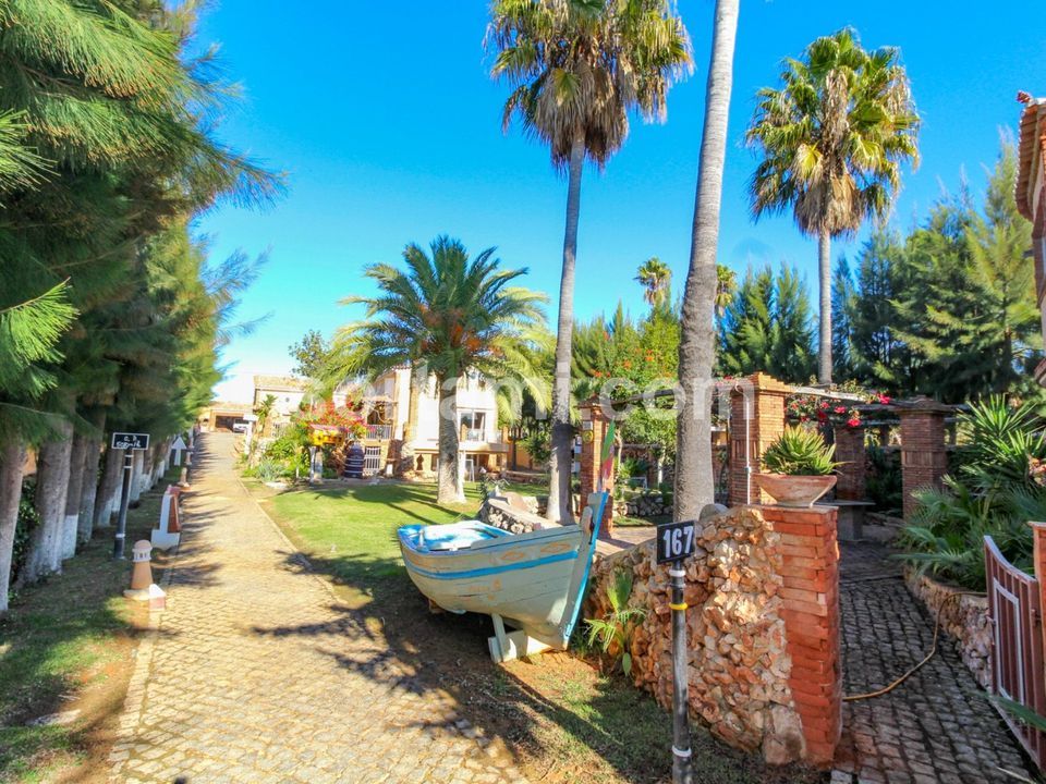 Farm i Silves, Faro - foto 2