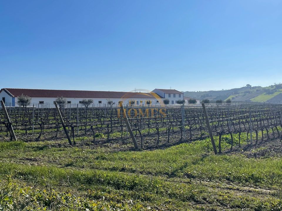 Masia a Carregado, Lisbon - foto 4