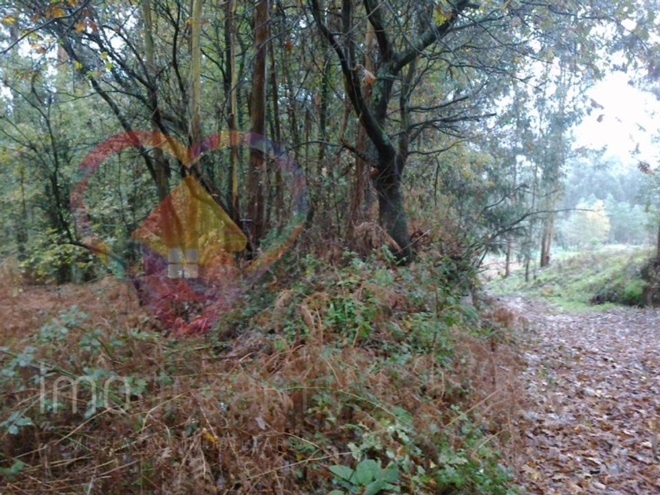 Helårsgrund i Oliveira de Azemeis, Aveiro - foto 3