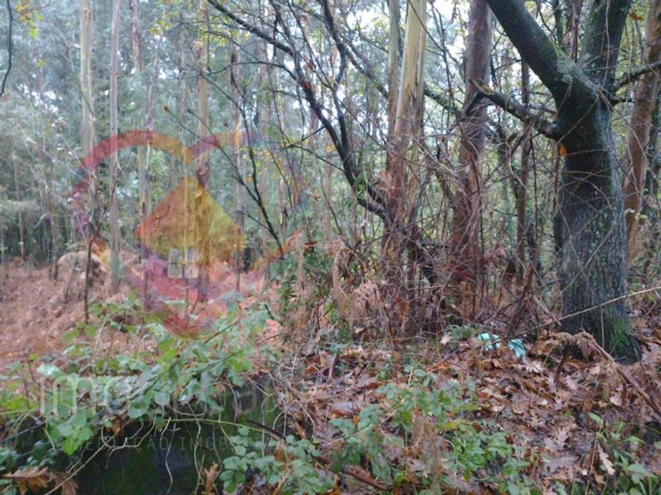 Helårsgrund i Oliveira de Azemeis, Aveiro - foto 5