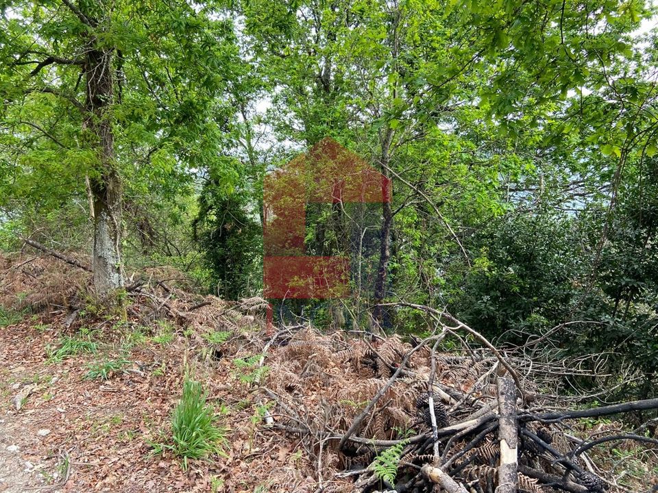Helårsgrund i Vila Verde, Braga - foto 2