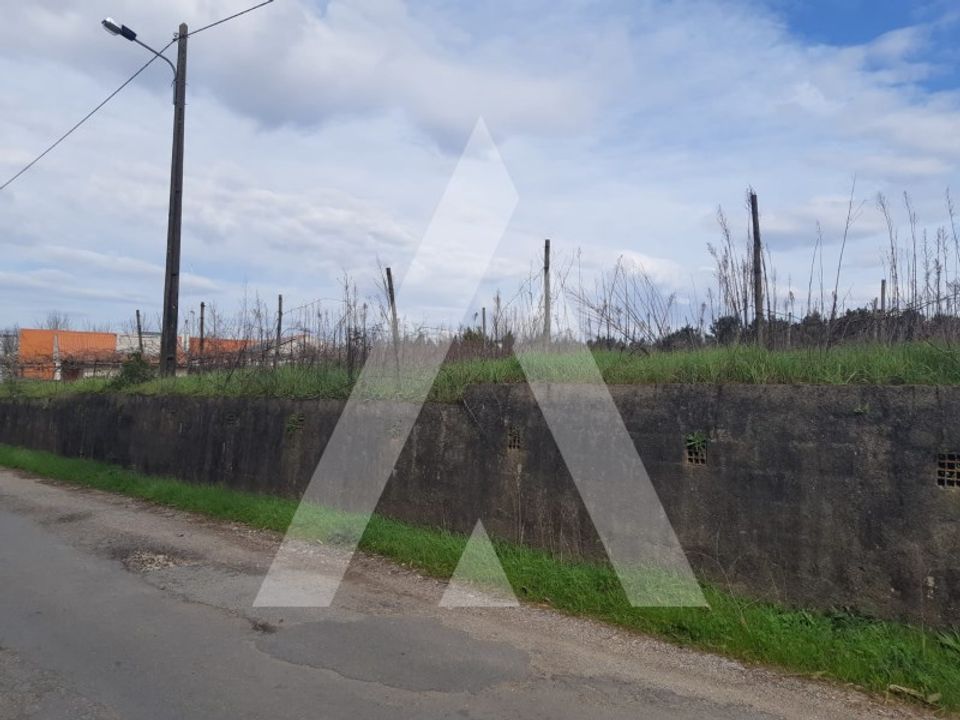 Helårsgrund i Anadia, Aveiro - foto 1