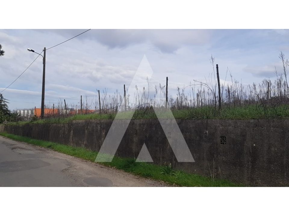 Helårsgrund i Anadia, Aveiro - foto 2