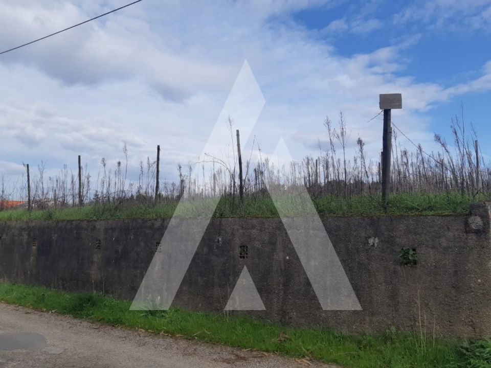 Helårsgrund i Anadia, Aveiro - foto 4