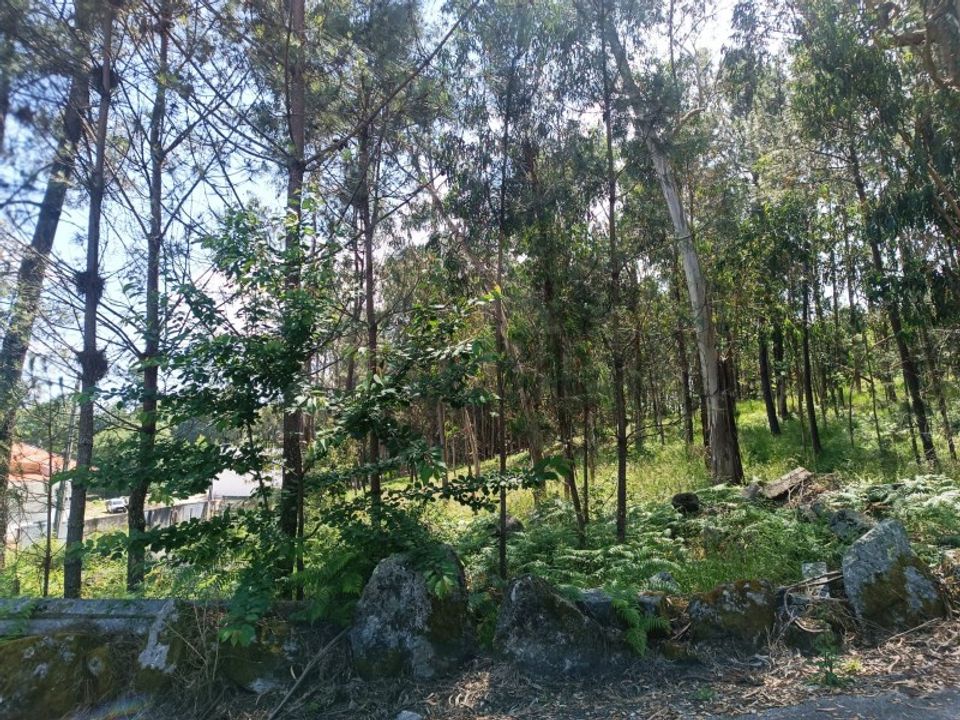 Helårsgrund i Vila Verde, Braga - foto 5