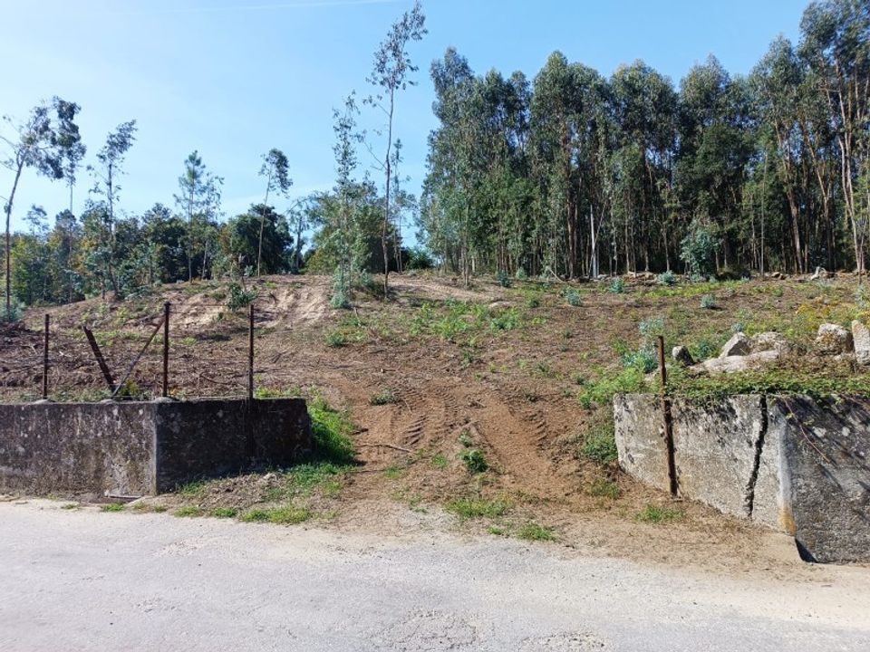 Helårsgrund i Vila Verde, Braga - foto 2