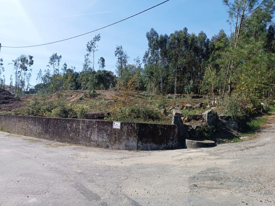 Helårsgrund i Vila Verde, Braga - foto 3