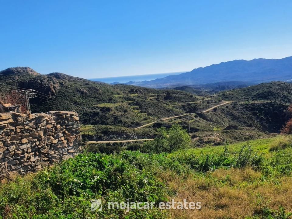 Ruin i Bedar, Almeria - bilde 1