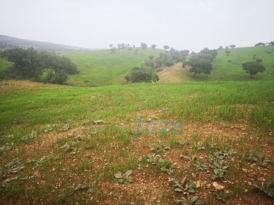 Landejendom i Mertola, Beja - foto 3