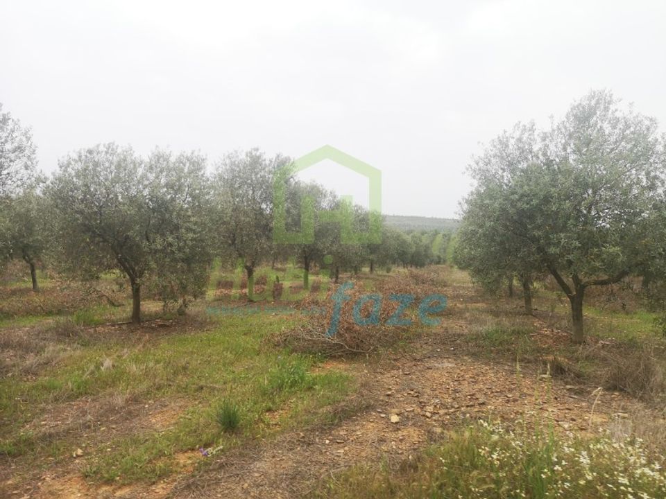 Landejendom i Mertola, Beja - foto 5