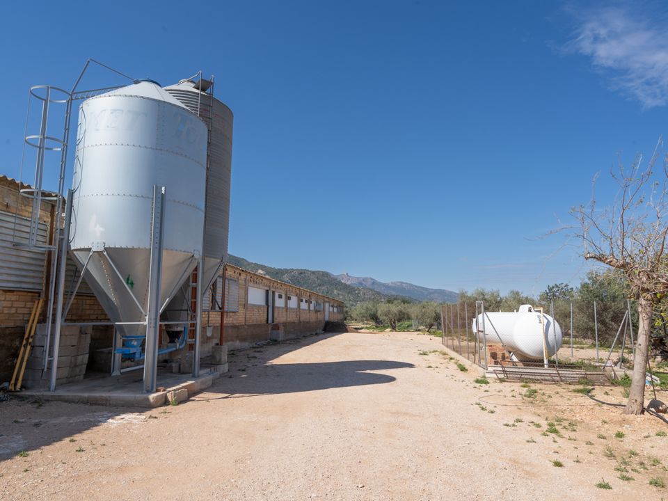 Farm i Roquetes, Tarragona - foto 5