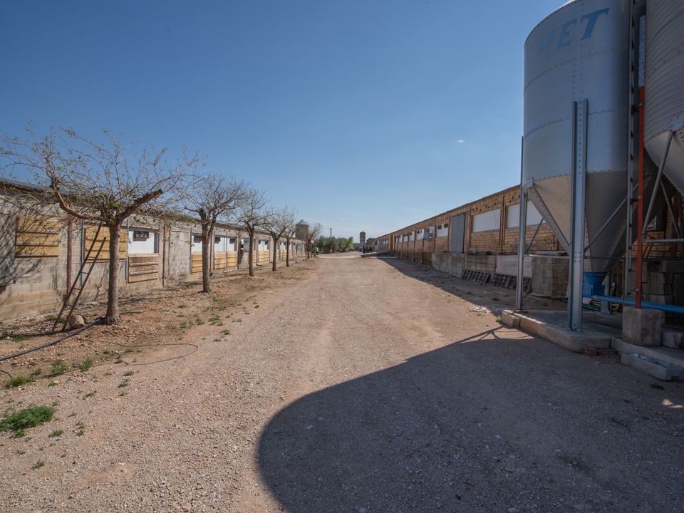 Farm i Roquetes, Tarragona - foto 3