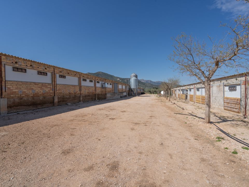 Farm i Roquetes, Tarragona - foto 2