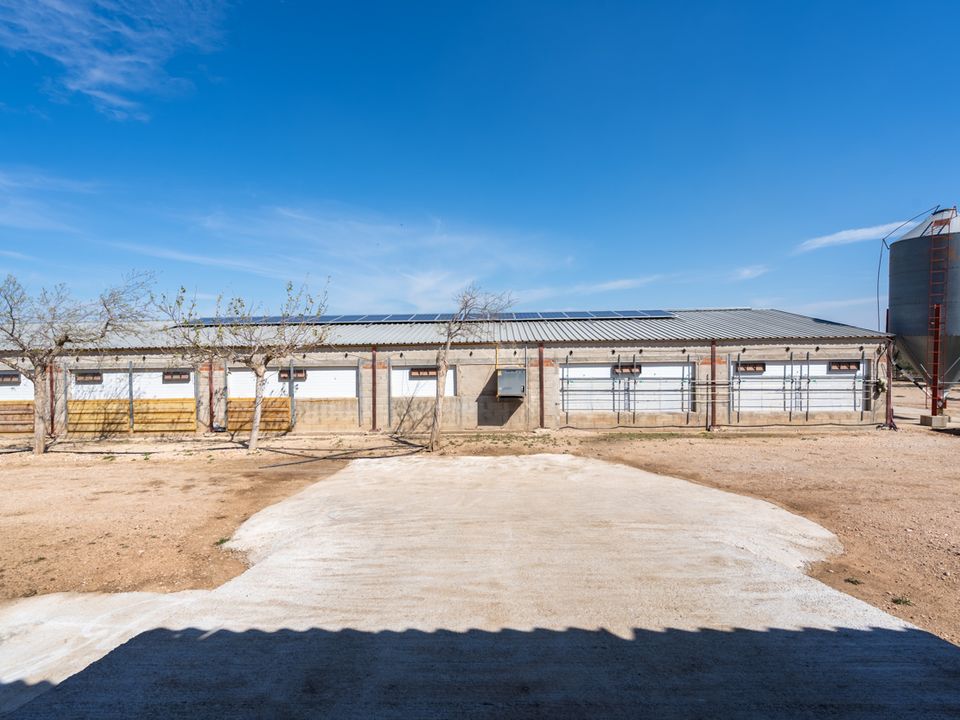 Farm i Roquetes, Tarragona - foto 4