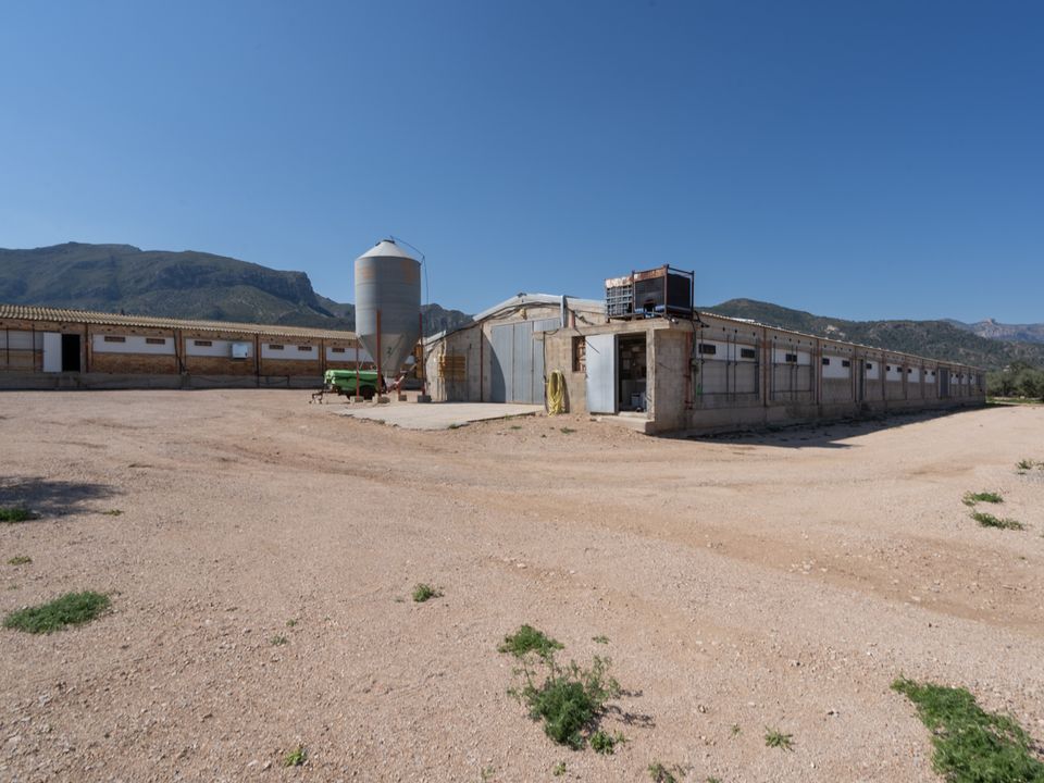Farm i Roquetes, Tarragona - foto 1