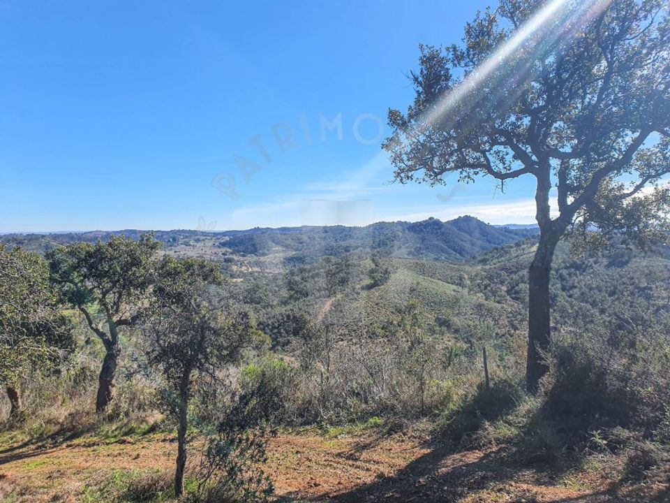 Granja en Colos, Beja - foto 1