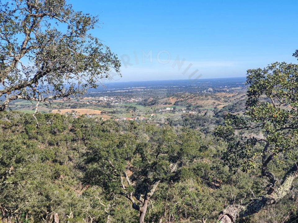 Granja en Colos, Beja - foto 2