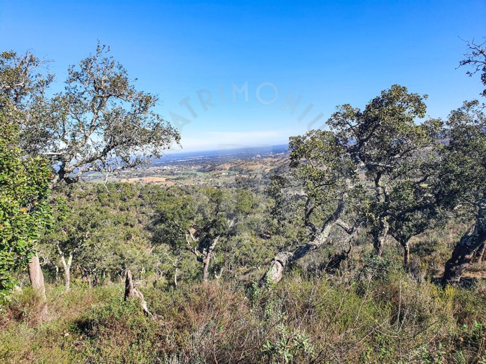Granja en Colos, Beja - foto 3
