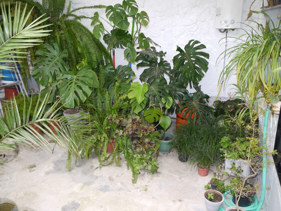 Casa de pueblo en Olvera, Cadiz - foto 4