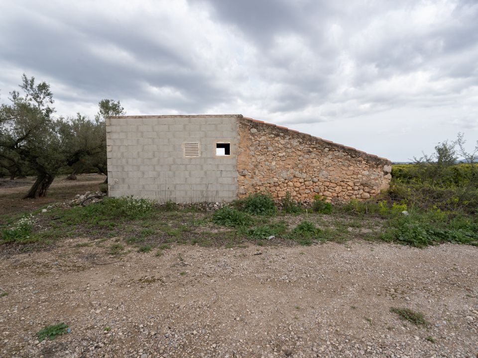 Finca i Santa Barbara, Tarragona - foto 5