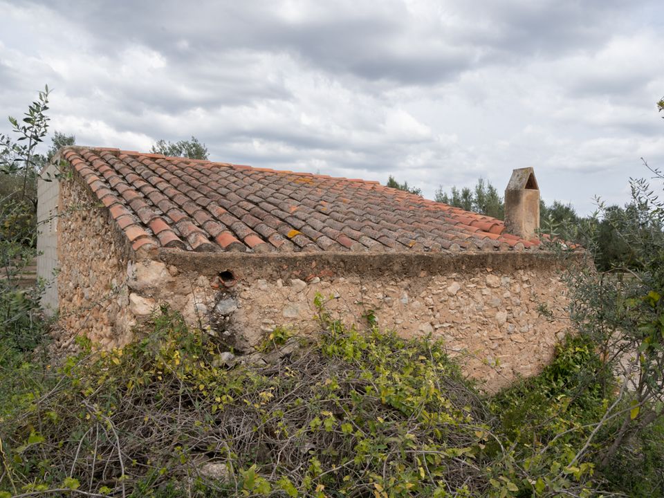 Finca i Santa Barbara, Tarragona - foto 4