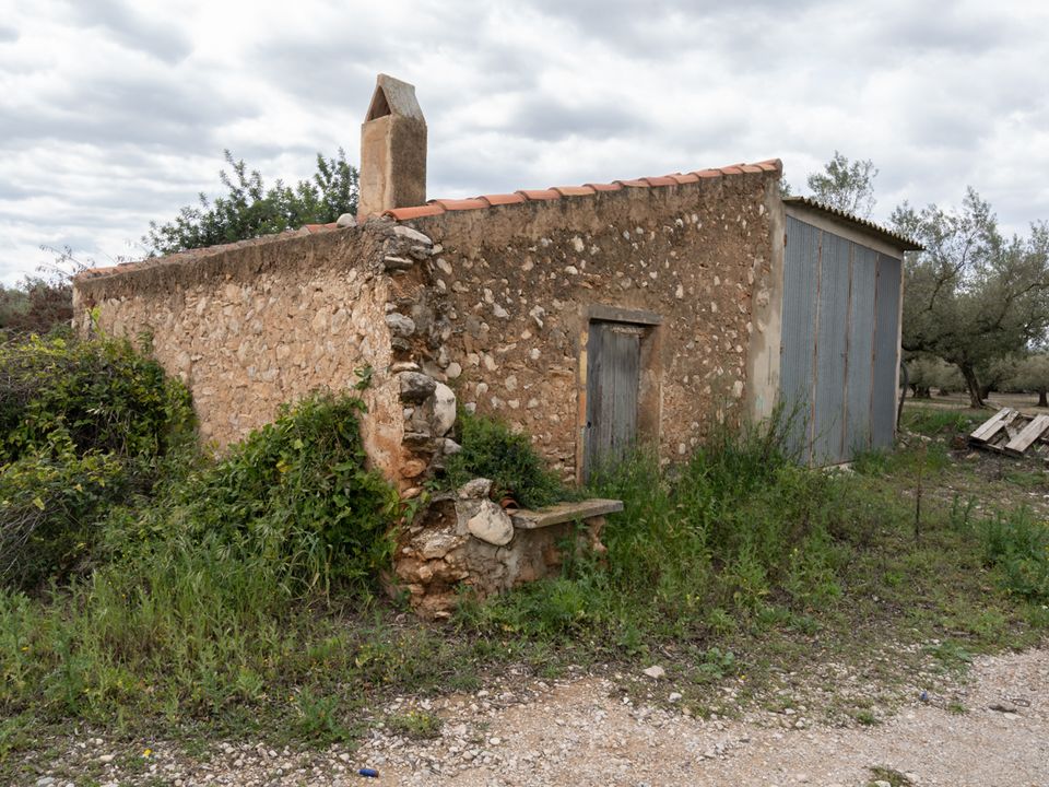 Finca i Santa Barbara, Tarragona - foto 3
