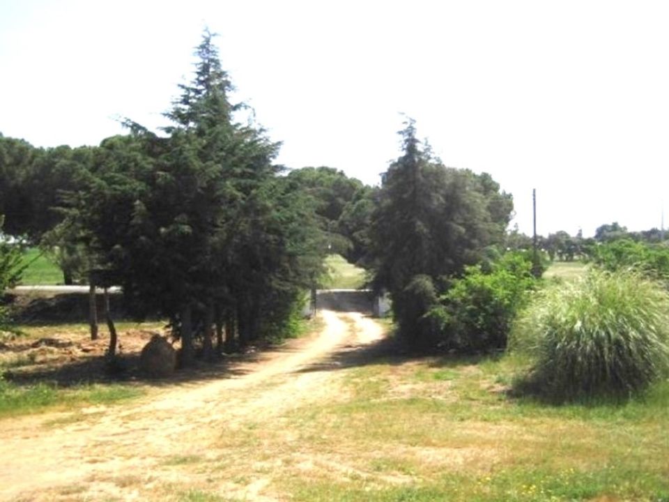 Landejendom i Serpa, Beja - foto 5