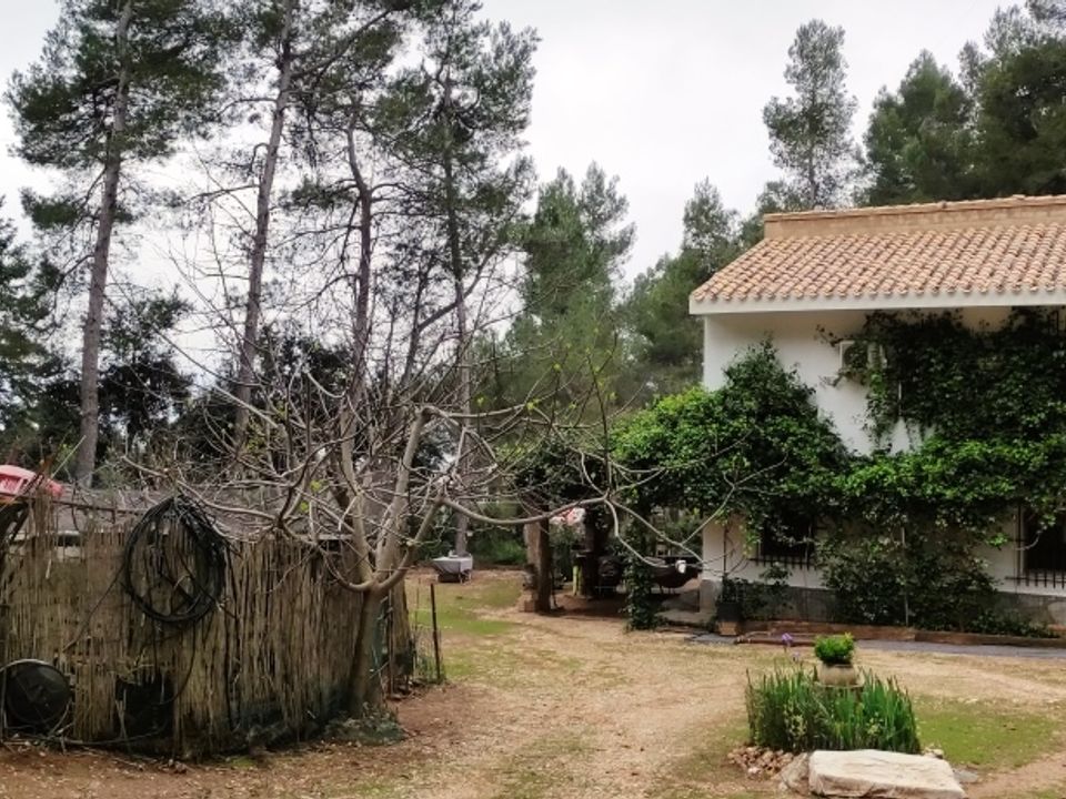 Landejendom i Bocairent, Valencia - foto 4