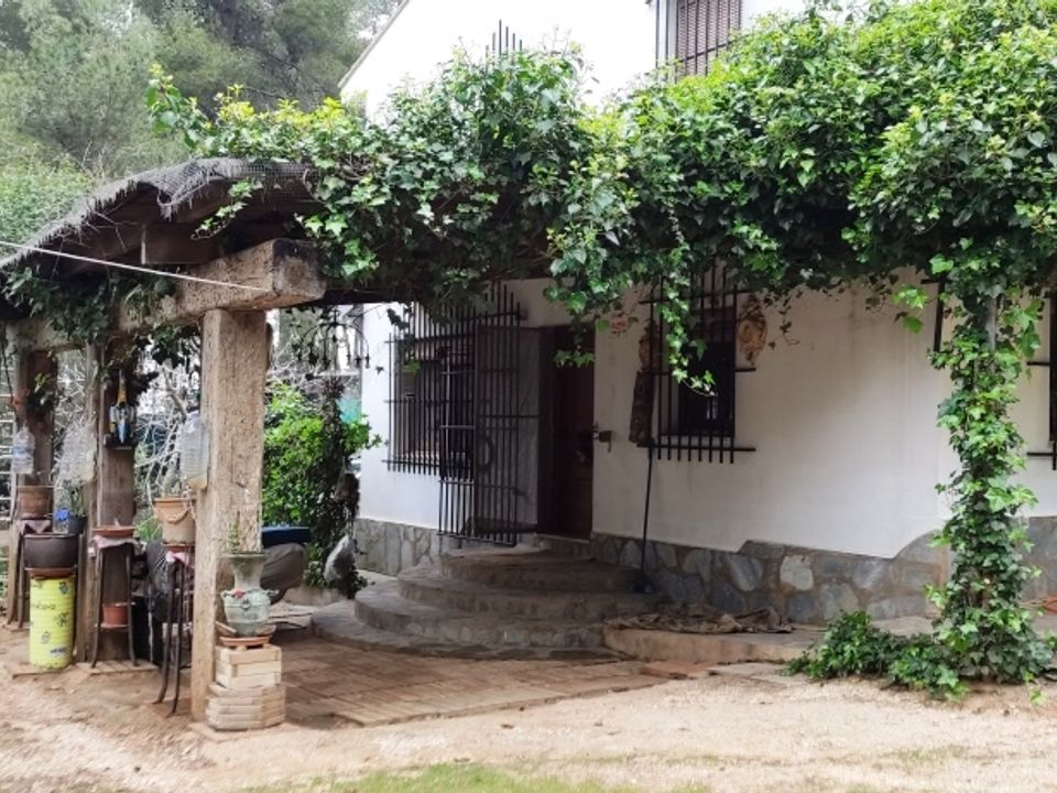 Landejendom i Bocairent, Valencia - foto 5