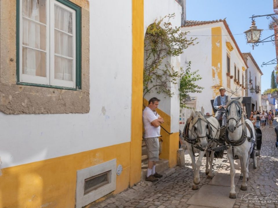 Helårsgrund i Obidos, Leiria - foto 4