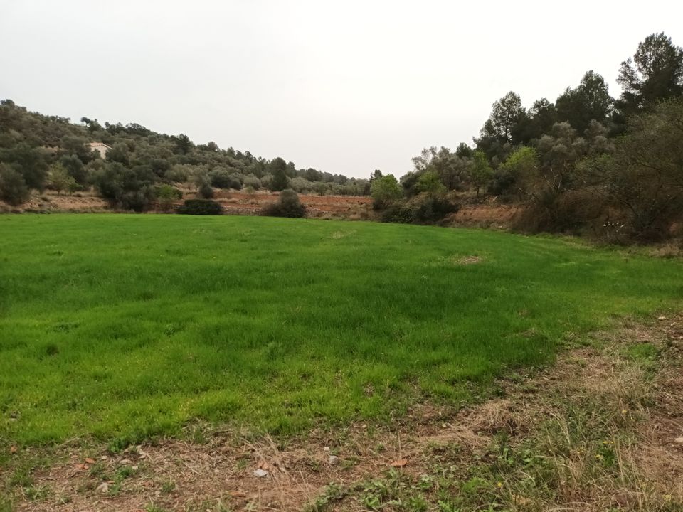 Farm i Mora La Nova, Tarragona - foto 4