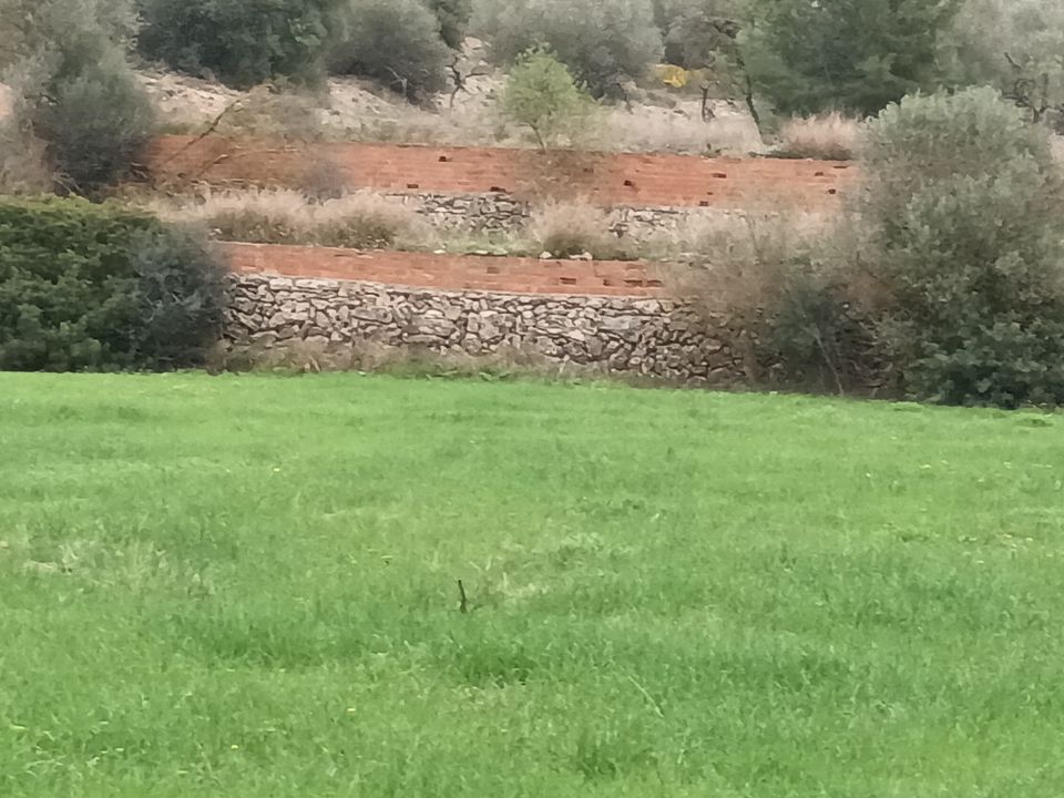 Farm i Mora La Nova, Tarragona - foto 2