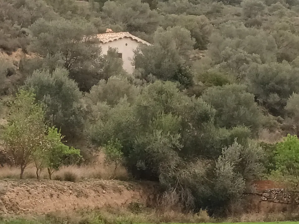 Farm i Mora La Nova, Tarragona - foto 1