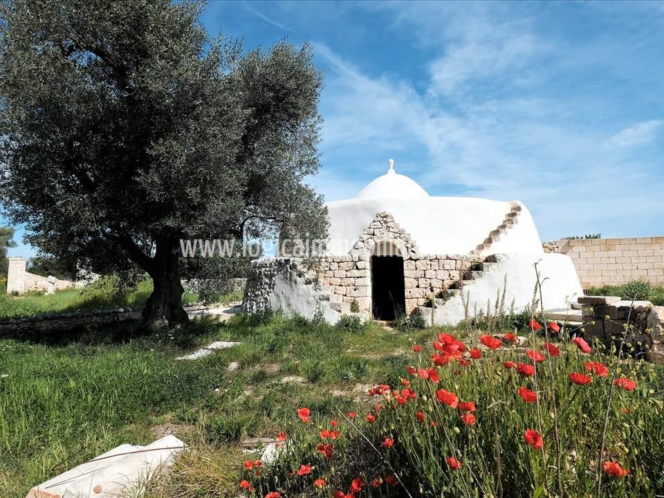 Farm hus i Carovigno, Brindisi - foto 5