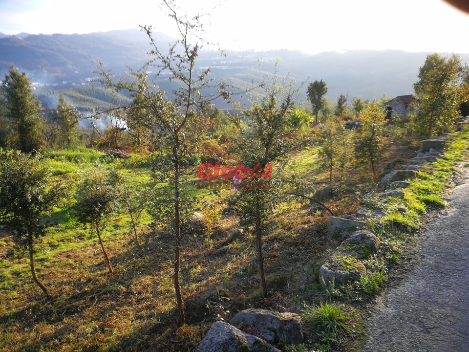 Helårsgrund i Sao Pedro do Sul, Viseu - foto 4