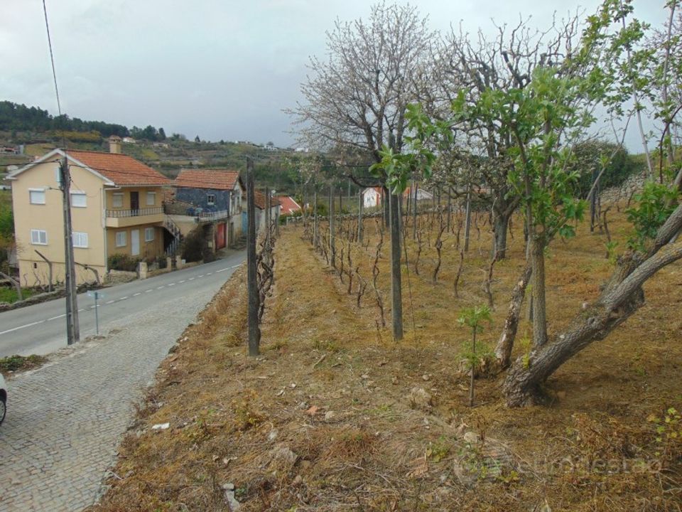 Landejendom i Gouviaes e Ucanha, Viseu - foto 5
