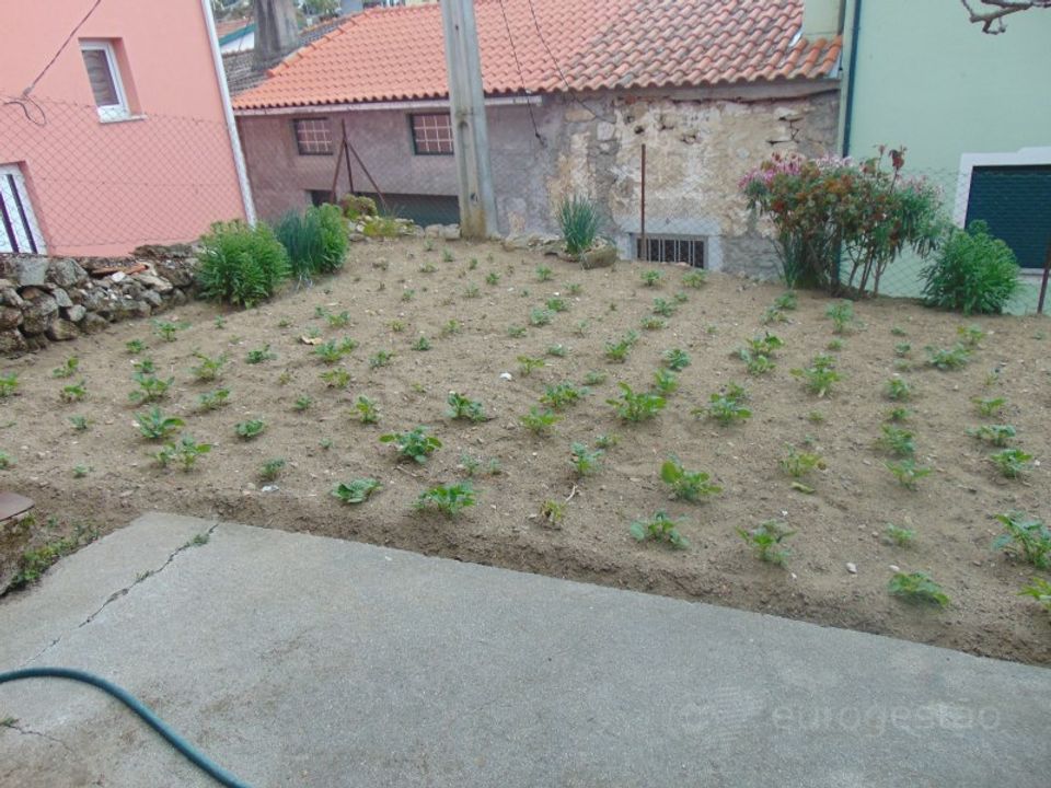 Landejendom i Gouviaes e Ucanha, Viseu - foto 4