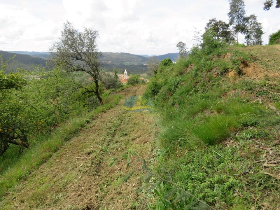 Helårsgrund i Miranda do Corvo, Coimbra - foto 2