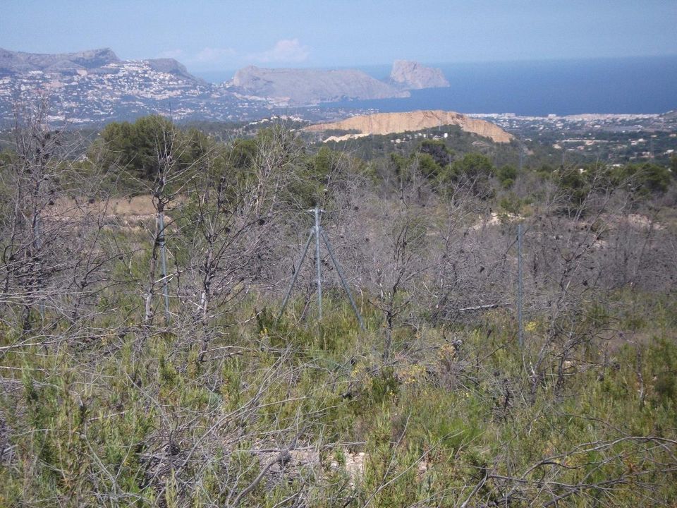 Helårsgrund i La Nucia, Alicante - foto 4