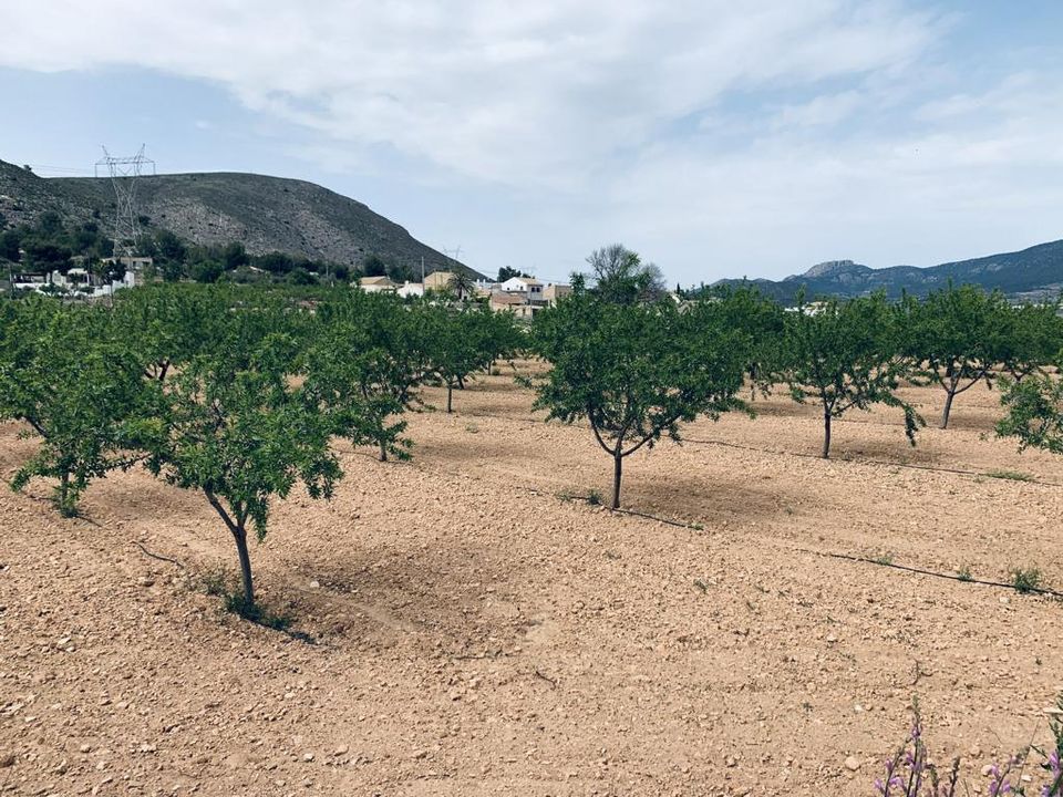 Helårsgrund i La Romana, Alicante - foto 5