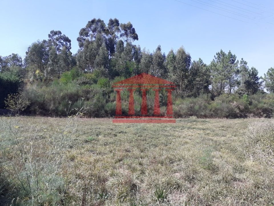 Helårsgrund i Barcelos, Braga - foto 2