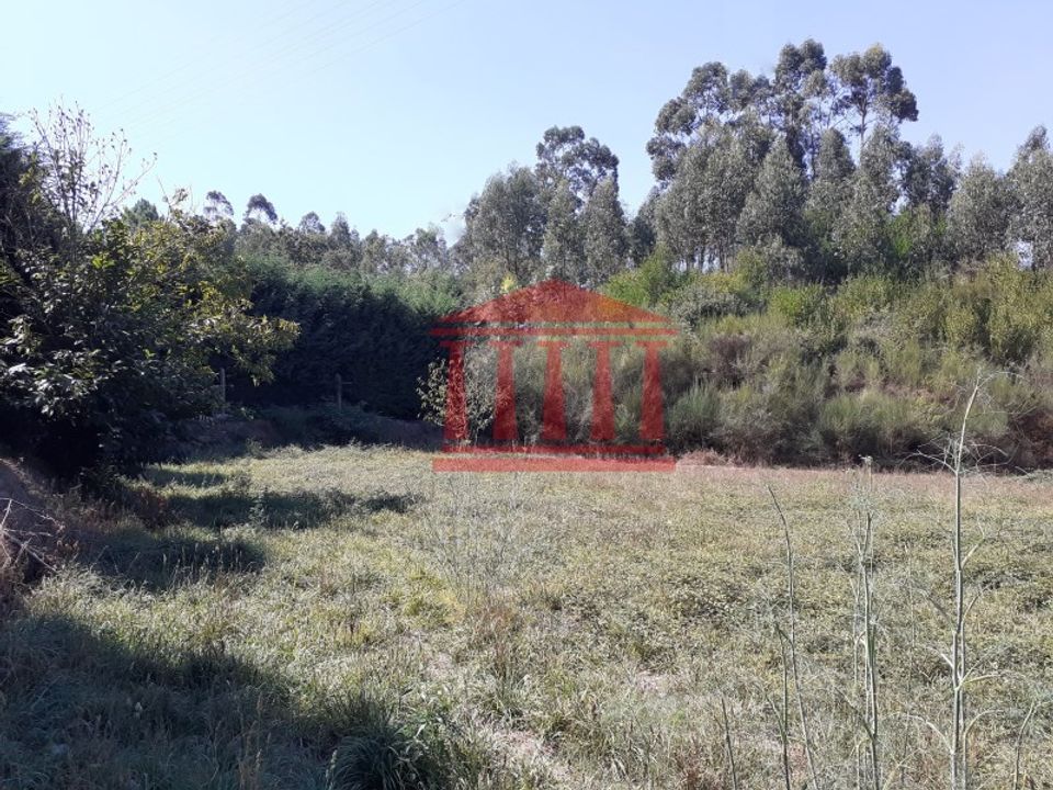 Helårsgrund i Barcelos, Braga - foto 3