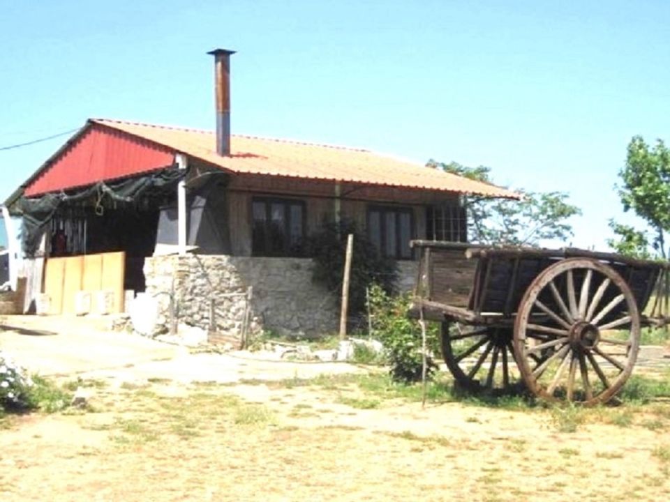 Farm i Serpa, Beja - foto 3