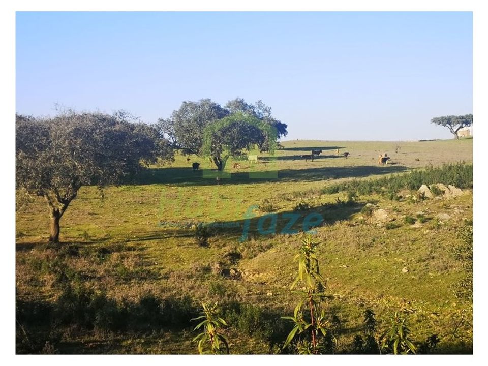 Landejendom i Alandroal, Evora - foto 4