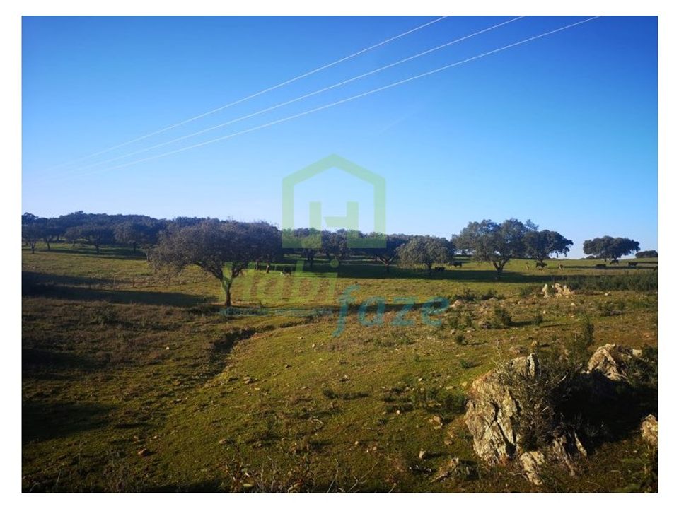 Landejendom i Alandroal, Evora - foto 3