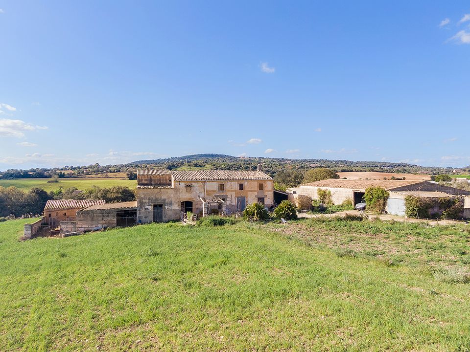 Cortijo i Manacor, Mallorca - foto 1