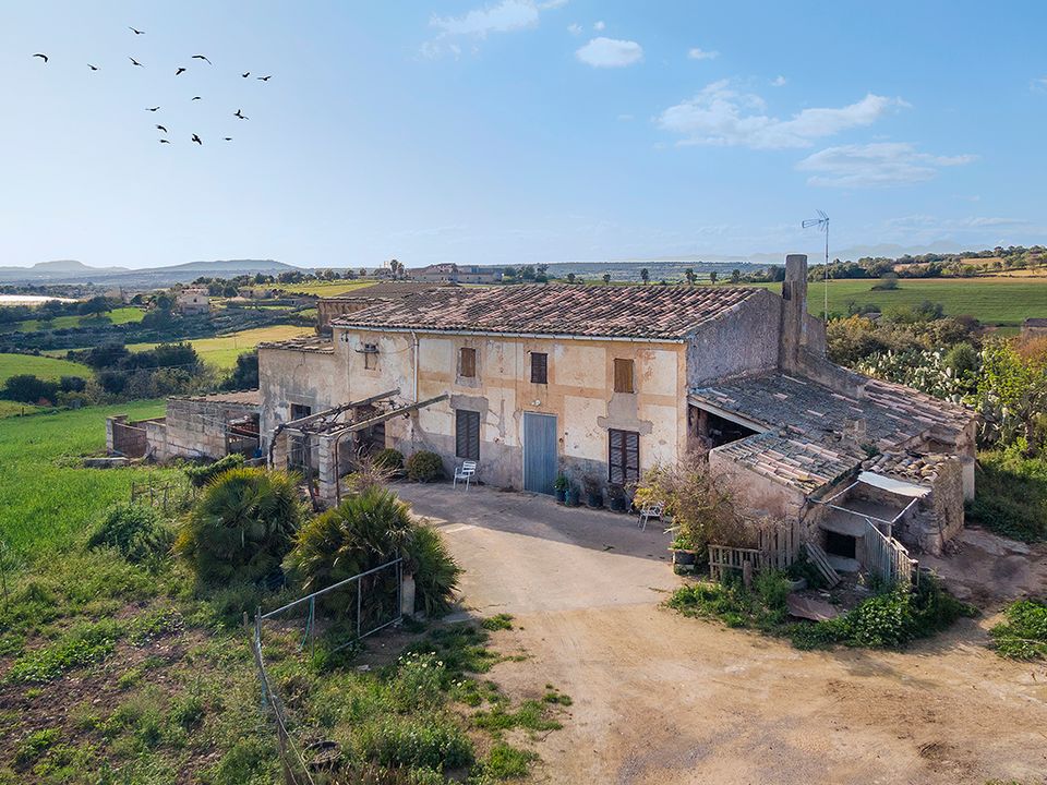 Cortijo i Manacor, Mallorca - foto 2