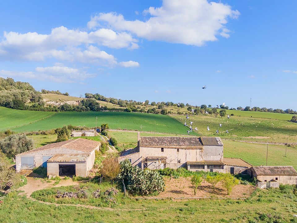 Cortijo i Manacor, Mallorca - foto 4
